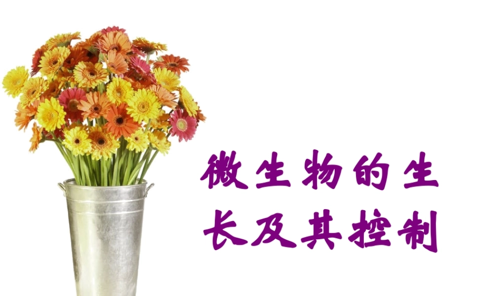 7 微生物的生长及其控制.ppt