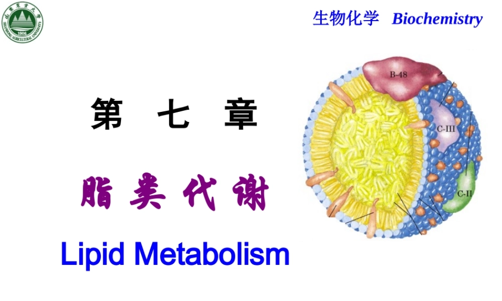 Chapter 7 脂类代谢.ppt