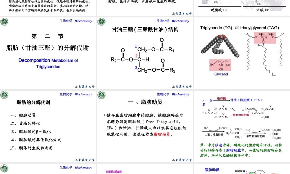 Chapter 7 脂类代谢.ppt