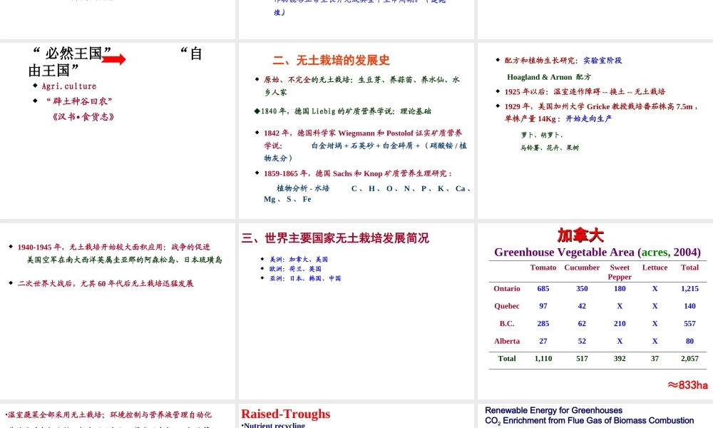 打印版 无土栽培.ppt