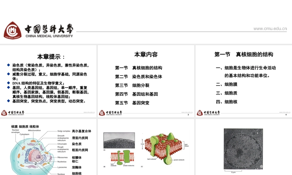 第2章 basis-6h new.ppt