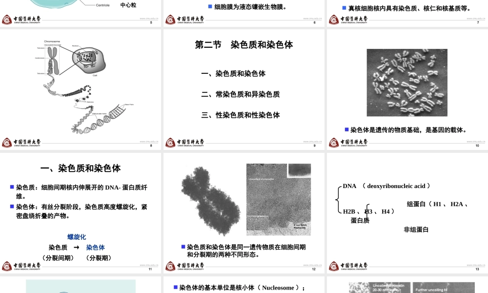 第2章 basis-6h new.ppt