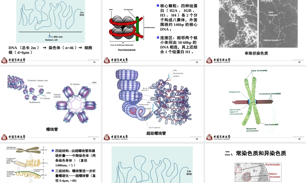 第2章 basis-6h new.ppt