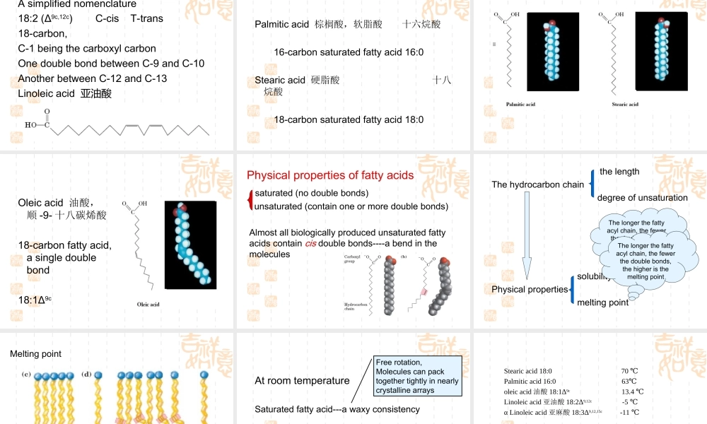 第二章 脂类(1).ppt