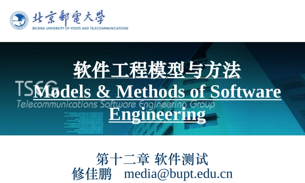 12、软件测试.ppt