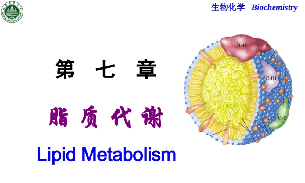 第十二章 脂质代谢.ppt
