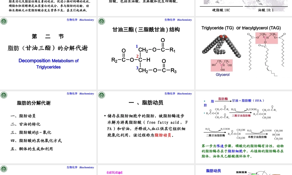 第十二章 脂质代谢.ppt