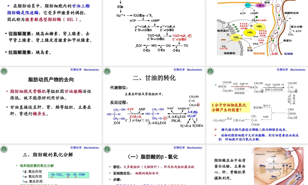 第十二章 脂质代谢.ppt