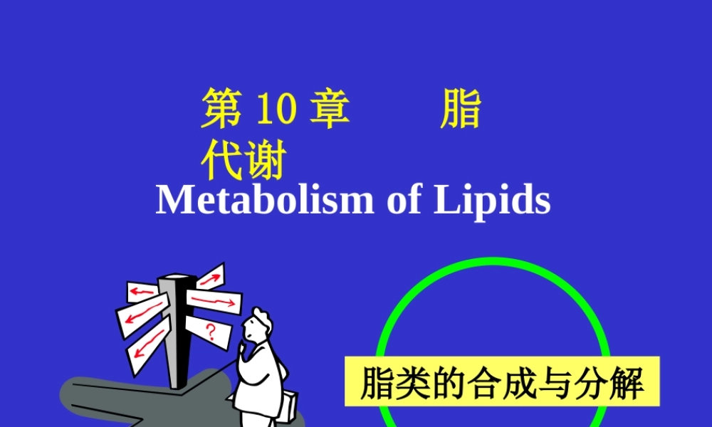 考研科目,动物生物化学 第10章 脂类代谢.ppt