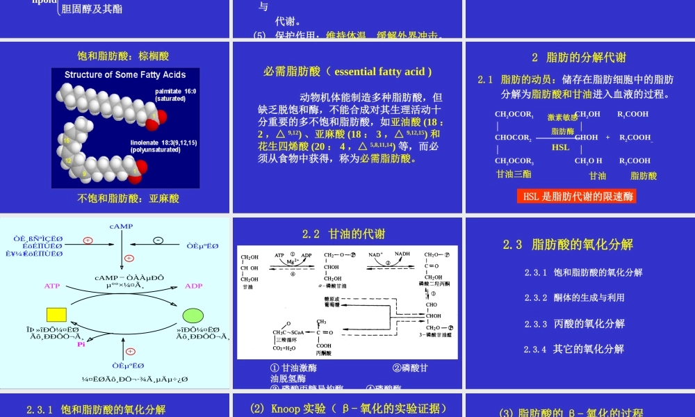 考研科目,动物生物化学 第10章 脂类代谢.ppt