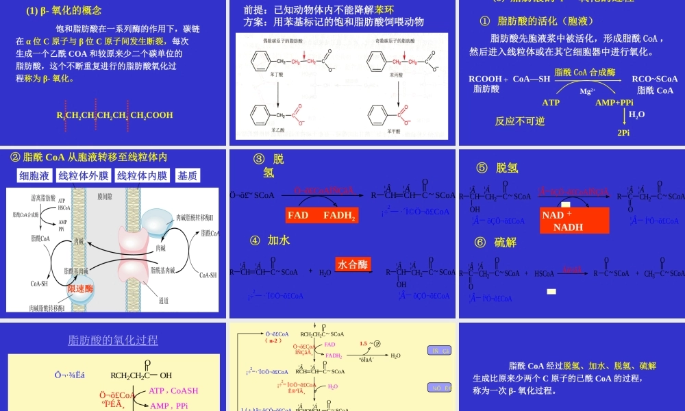 考研科目,动物生物化学 第10章 脂类代谢.ppt
