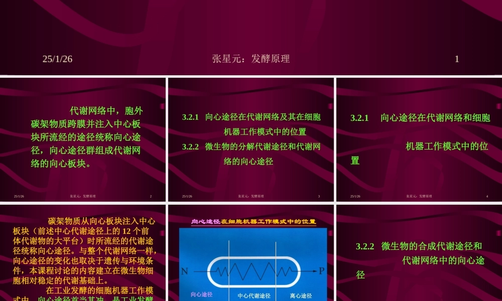 3.第三章 发酵学第二假说（2）.ppt