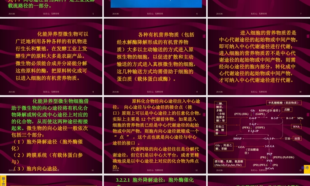 3.第三章 发酵学第二假说（2）.ppt