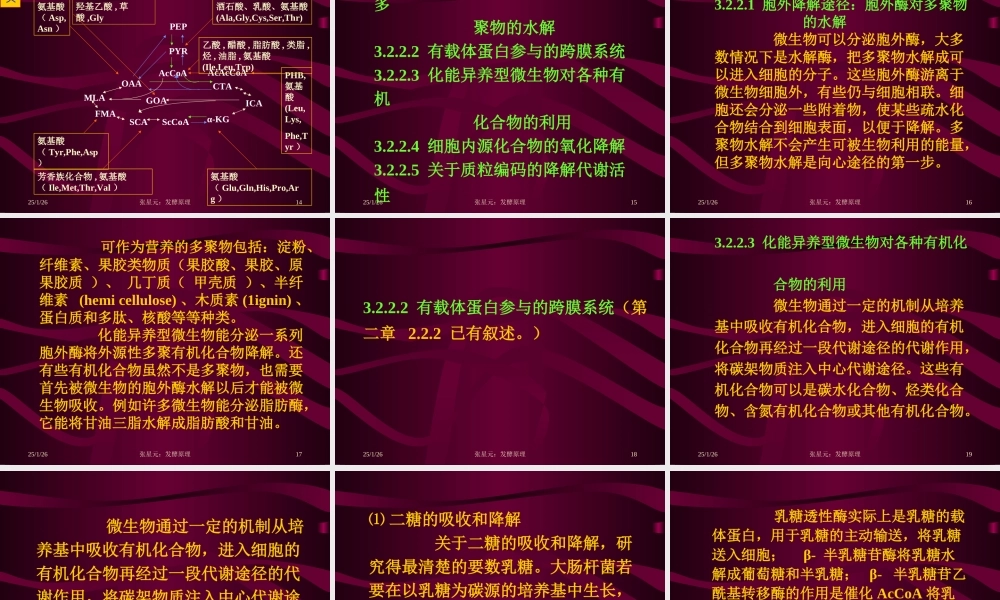 3.第三章 发酵学第二假说（2）.ppt
