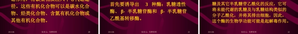 3.第三章 发酵学第二假说（2）.ppt