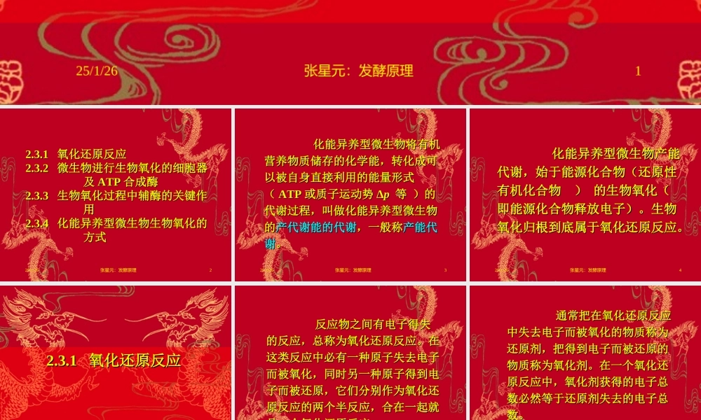 2.第二章 发酵学第一假说（2）.ppt