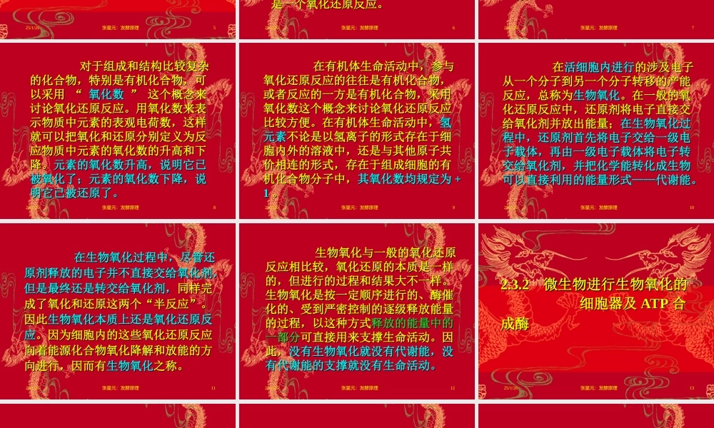 2.第二章 发酵学第一假说（2）.ppt