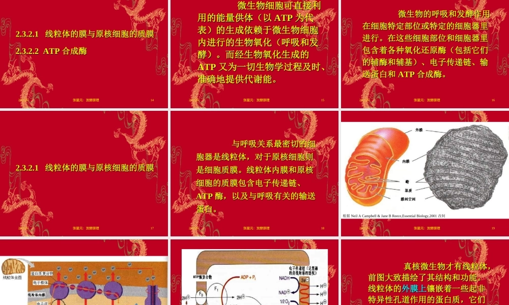 2.第二章 发酵学第一假说（2）.ppt