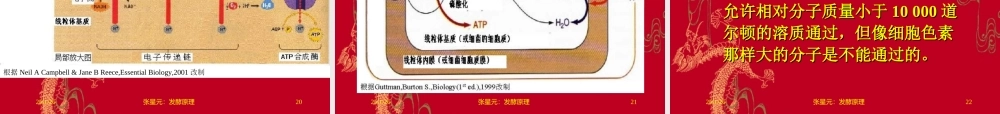 2.第二章 发酵学第一假说（2）.ppt