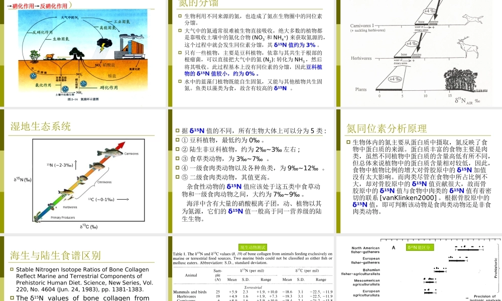 7. 氮氢氧锶循环.ppt