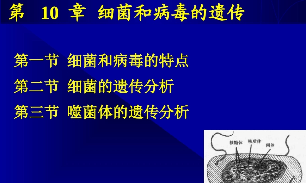 10课件缩略第十章细菌和病毒2015Genet.ppt