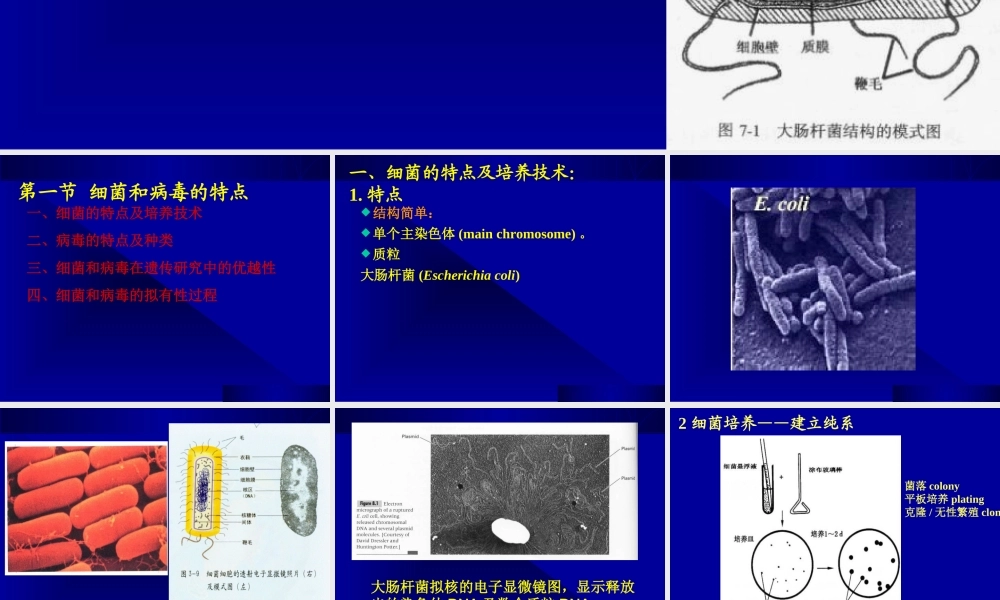10课件缩略第十章细菌和病毒2015Genet.ppt