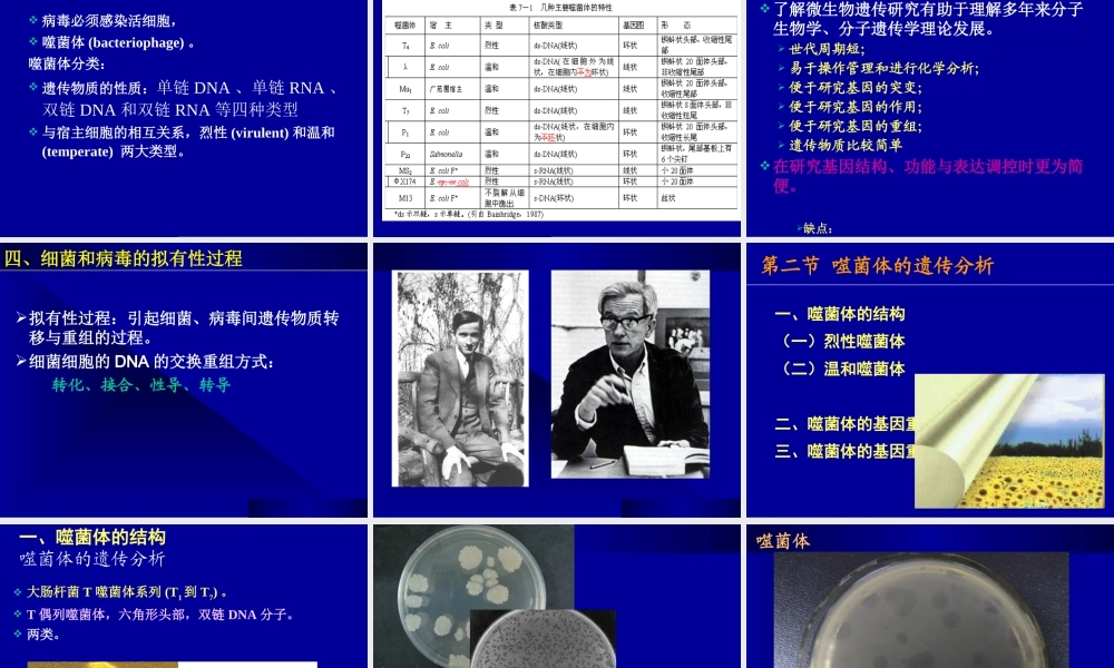 10课件缩略第十章细菌和病毒2015Genet.ppt