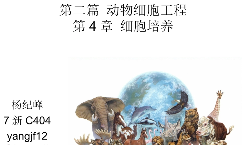 第4章 动物细胞工程细胞培养(1).ppt