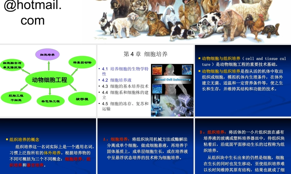 第4章 动物细胞工程细胞培养(1).ppt