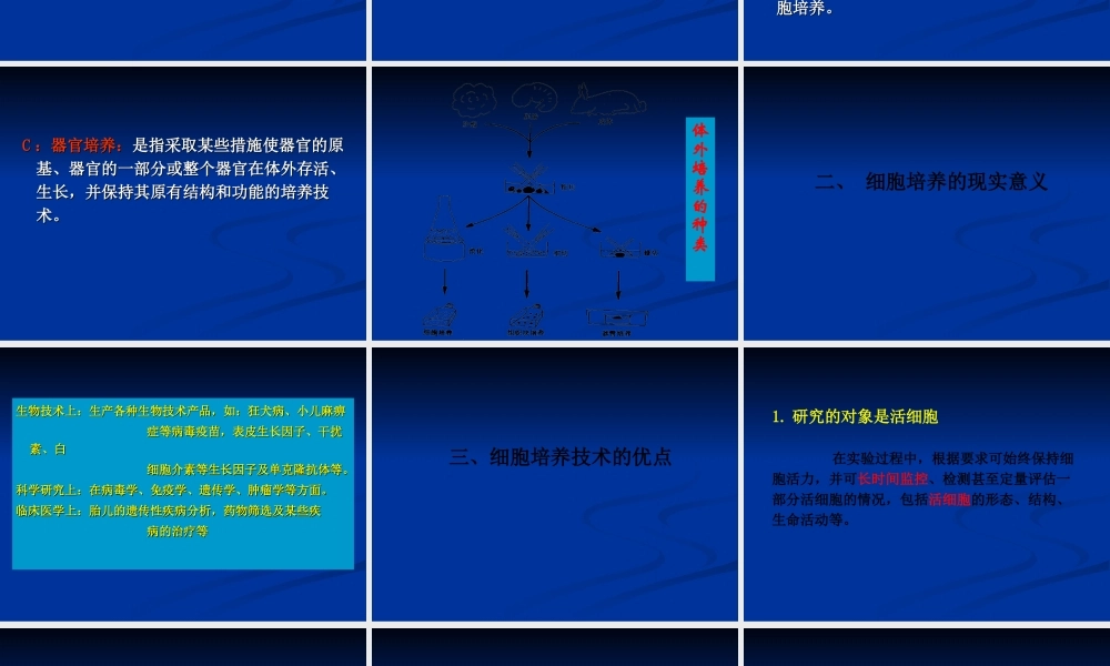 第4章 动物细胞工程细胞培养(1).ppt