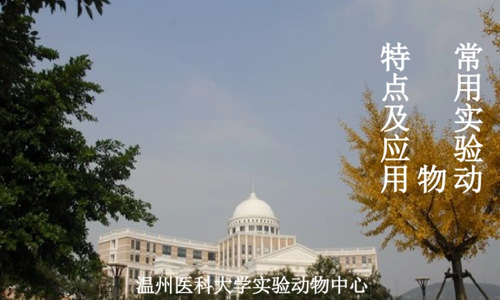 常用实验动物特点及应用(1).ppt