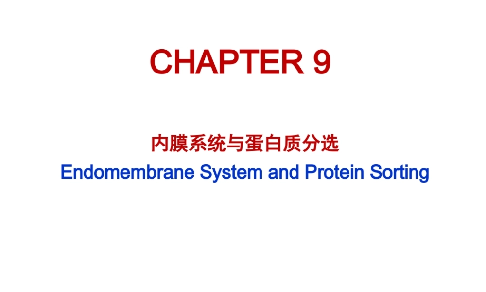 Ru-第9章 内膜系统 20161016.ppt
