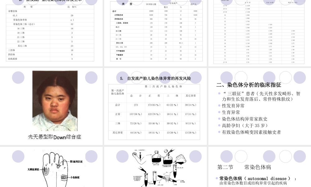 第十三章 染色体病 (2).ppt