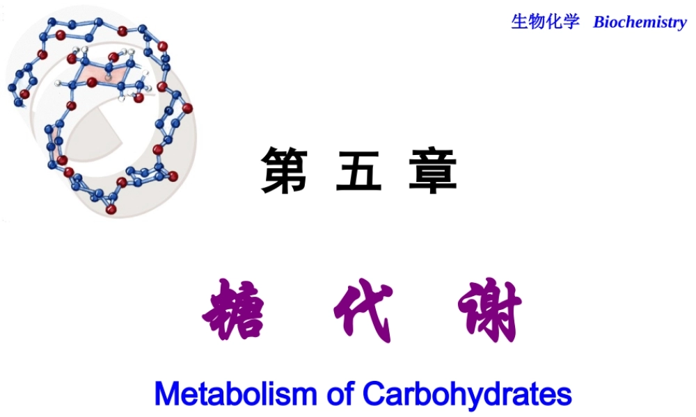 第五章糖代谢.ppt