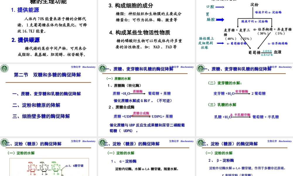 第五章糖代谢.ppt