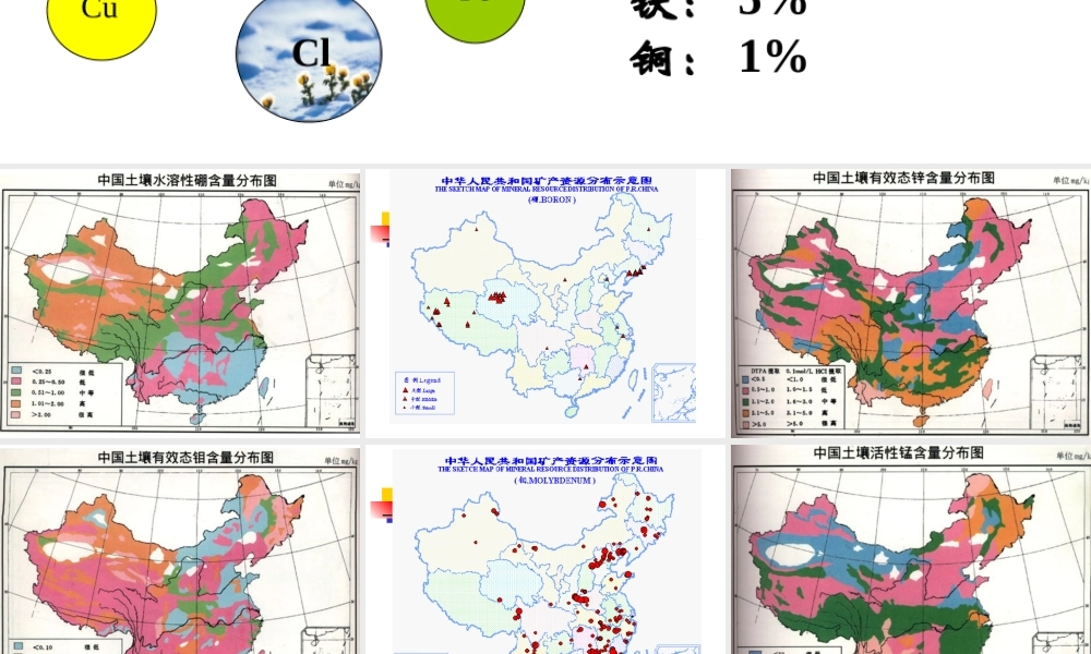 第11章 微量元素肥-硼锌.ppt