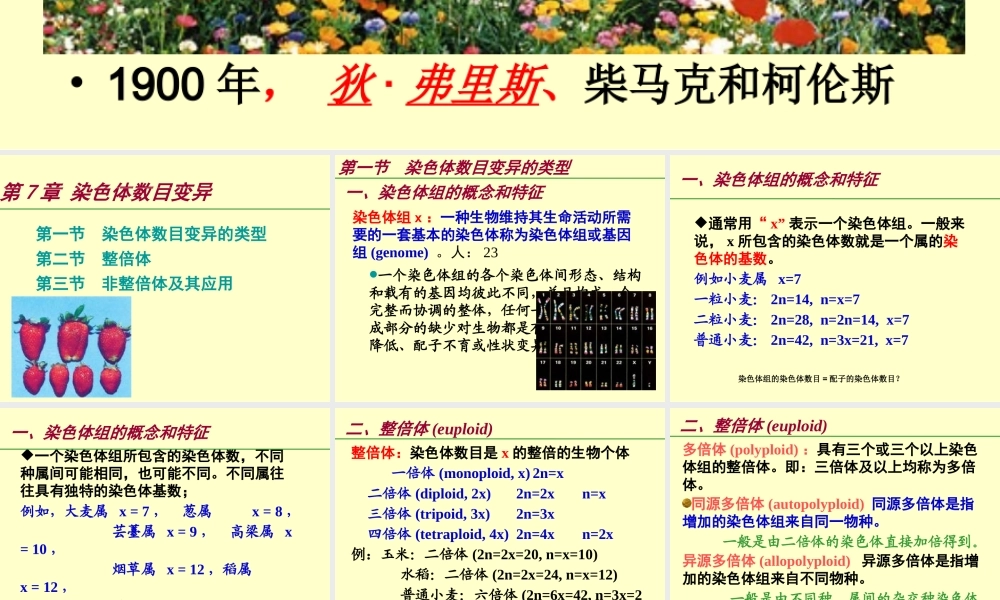7课件第七章2013Genetics数目变异.ppt