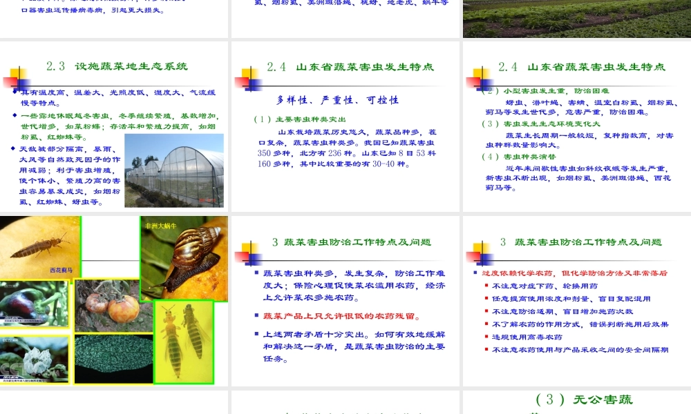 第三章 蔬菜害虫（1-2节）-2.ppt