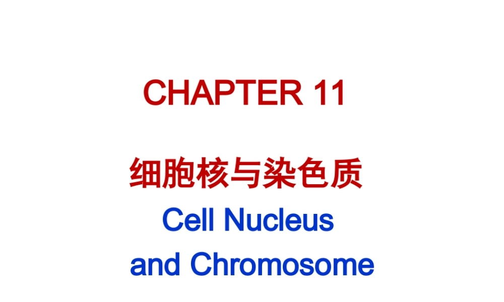 ru-第11章 细胞核与染色体 20171019(1).ppt