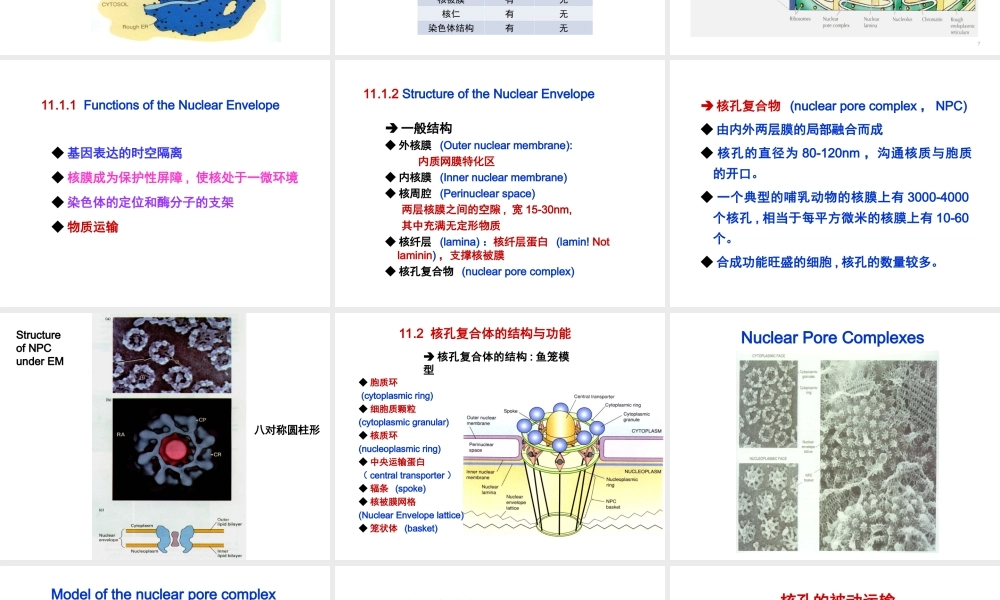 ru-第11章 细胞核与染色体 20171019(1).ppt