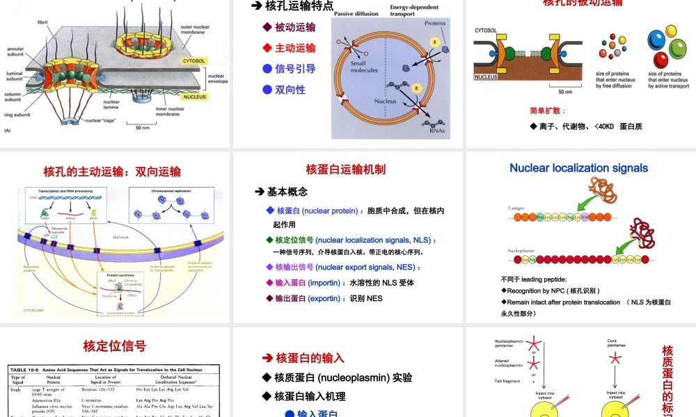 ru-第11章 细胞核与染色体 20171019(1).ppt