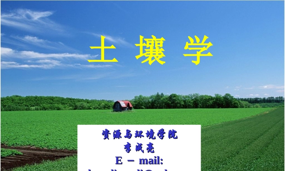 李成亮0.1.绪论、矿物质.ppt