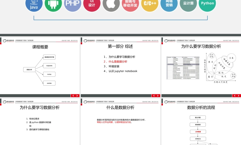 数据分析课程 [自动保存].pptx