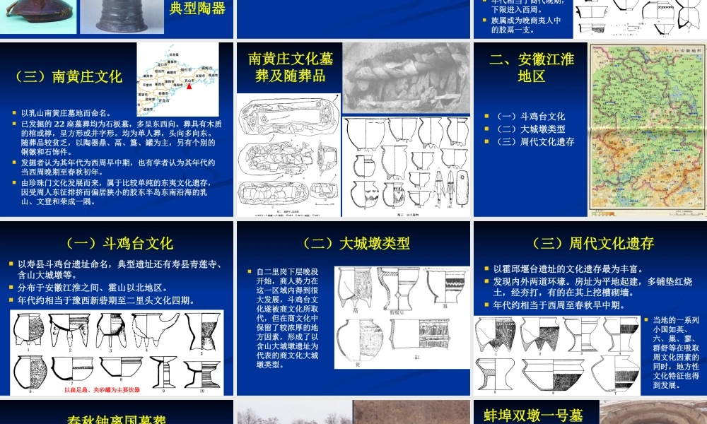 第7章周边地区的青铜时代文化.pptx