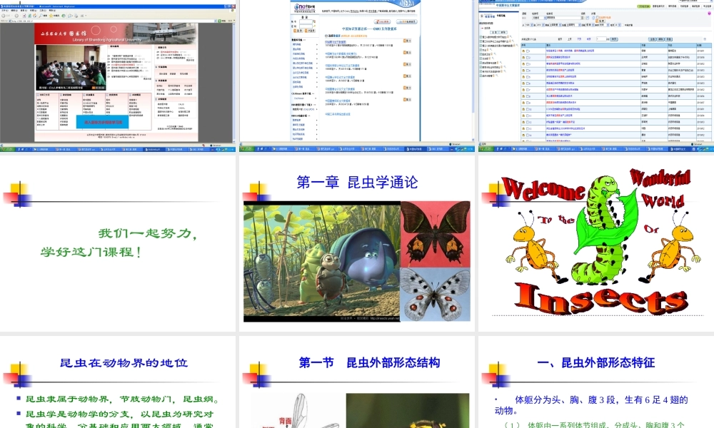 园艺昆虫学（昆虫学通论）.ppt