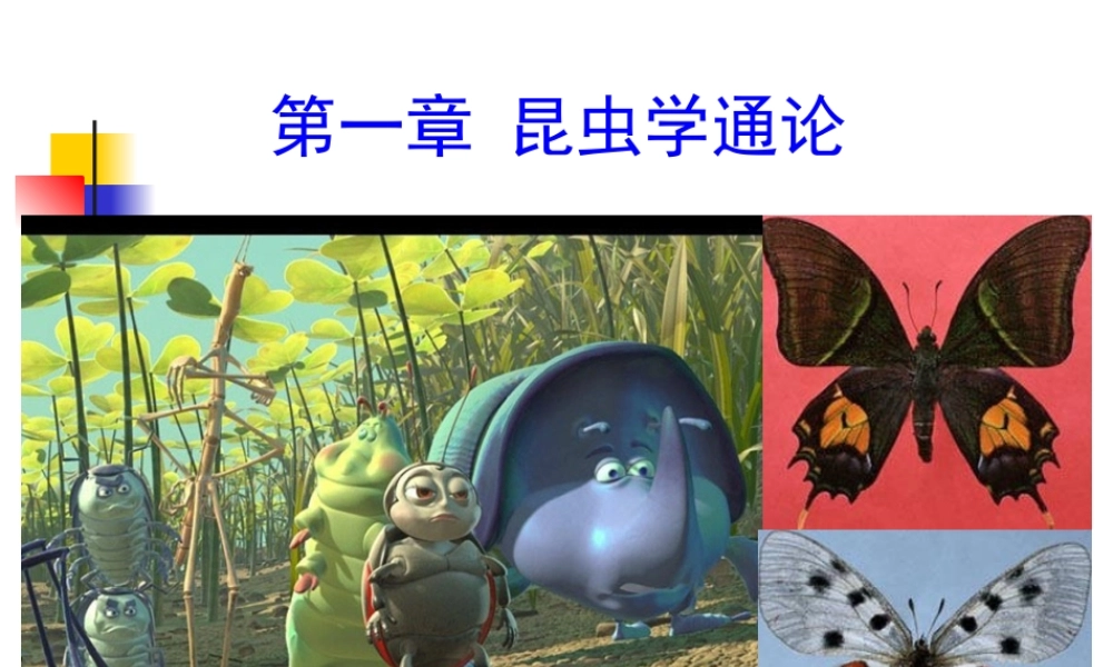 第一章 昆虫学通论(00).ppt