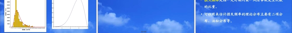 风险管理期中复习(4-6章）(1).ppt