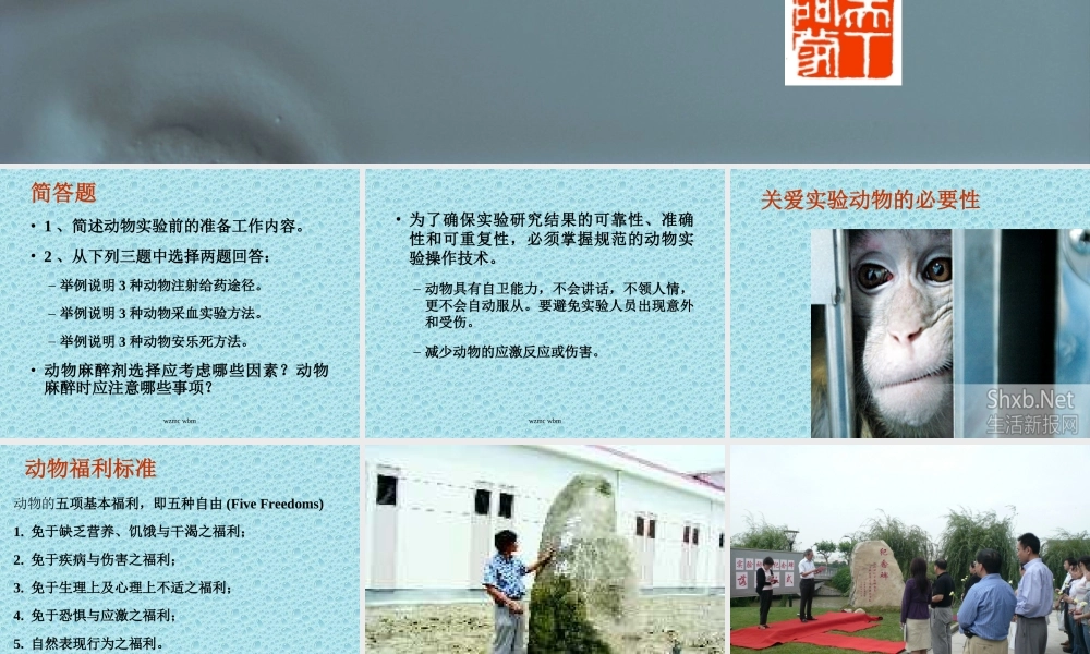 实验动物基本操作-WBM20091218 - 复件(1).ppt