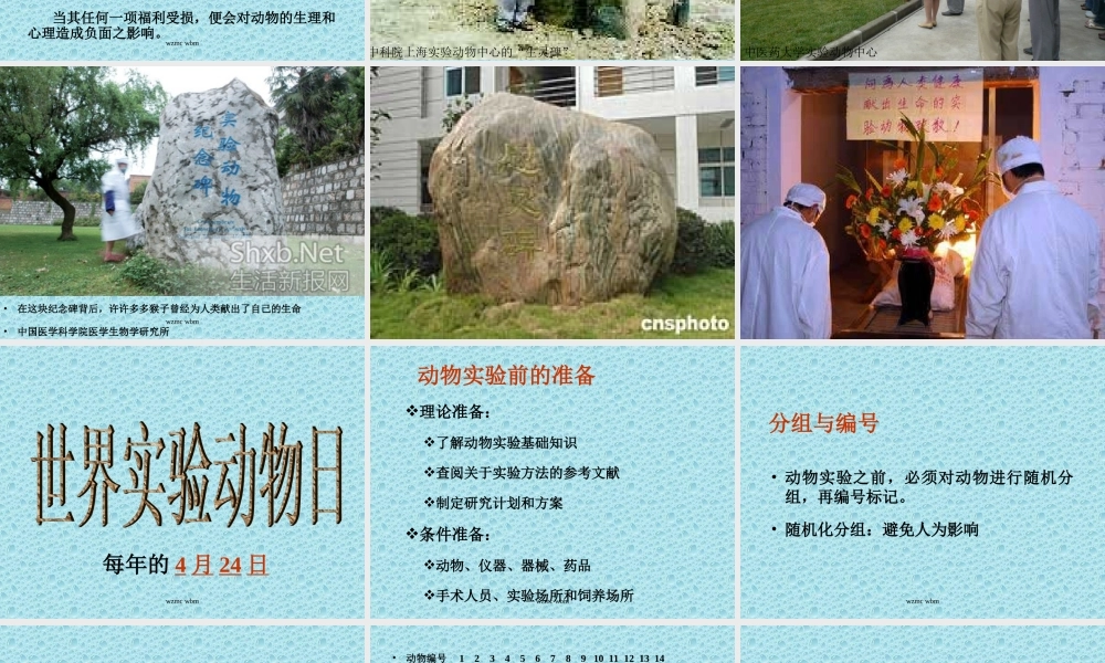 实验动物基本操作-WBM20091218 - 复件(1).ppt