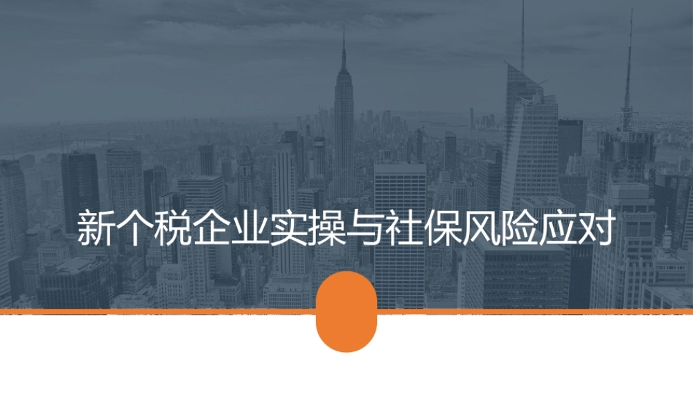 新个税法企业实操与社保风险应对 课件.pptx